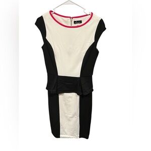 Alesia Colorblock Peplum Dress – Size 4 (NWOT)